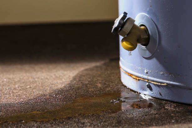 Best Professional water damage repair  in New Pek, IN