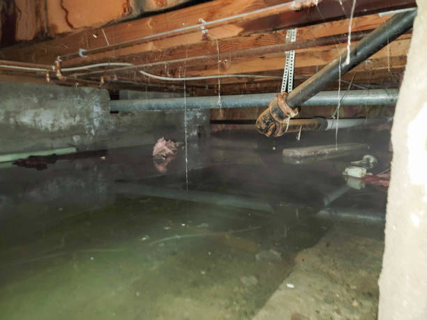 Sewage cleanup and water damage restoration in IN