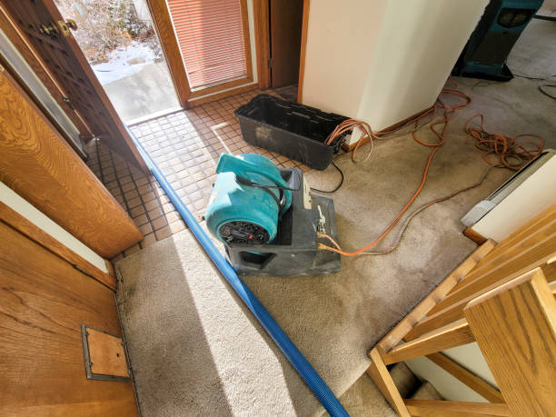 Best Water damage cleanup near me  in New Pek, IN