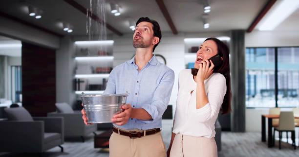 Best Flood restoration services  in New Pek, IN